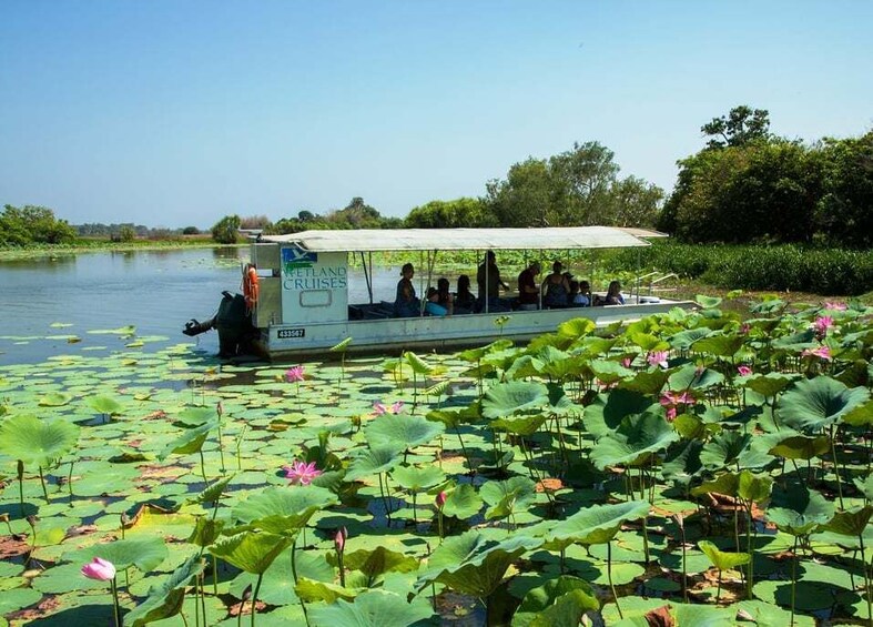 Northern Territory: Corroboree Billabong Nature Cruises