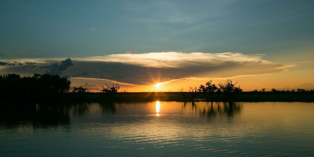 Picture 13 for Activity Northern Territory: Corroboree Billabong Nature Cruises