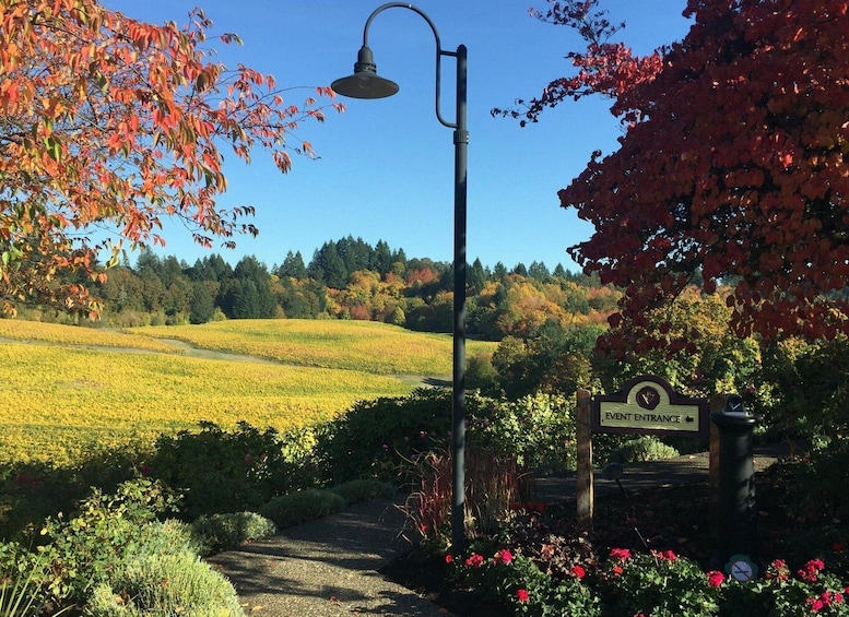 Picture 11 for Activity From Portland: Willamette Valley Character Wineries