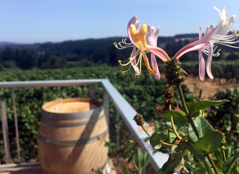 From Portland: Willamette Valley Character Wineries