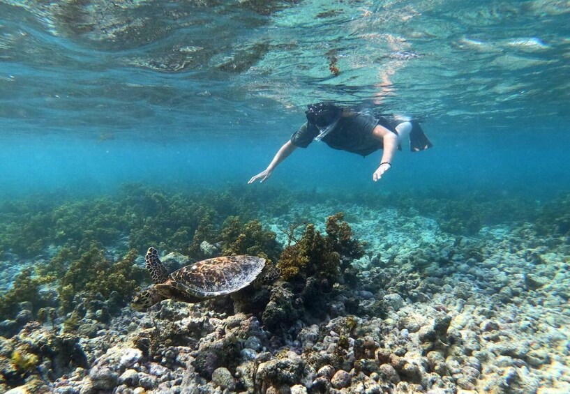 Praslin: Coco Felicite & La Digue Island Full-Day Boat Trip