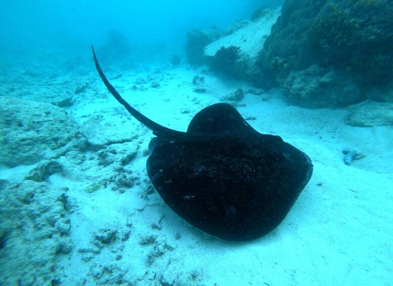 Picture 6 for Activity Praslin: Coco Felicite & La Digue Island Full-Day Boat Trip