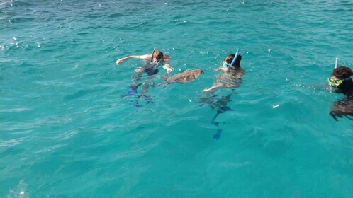 Praslin: Coco Felicite & La Digue Island Full-Day Boat Trip