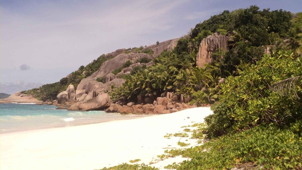 Picture 3 for Activity From Praslin: Cocos, Felicite & La Digue Islands Tour