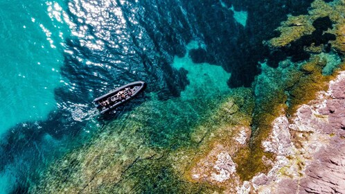 Cannes: recorrido panorámico en barco RIB por las calas