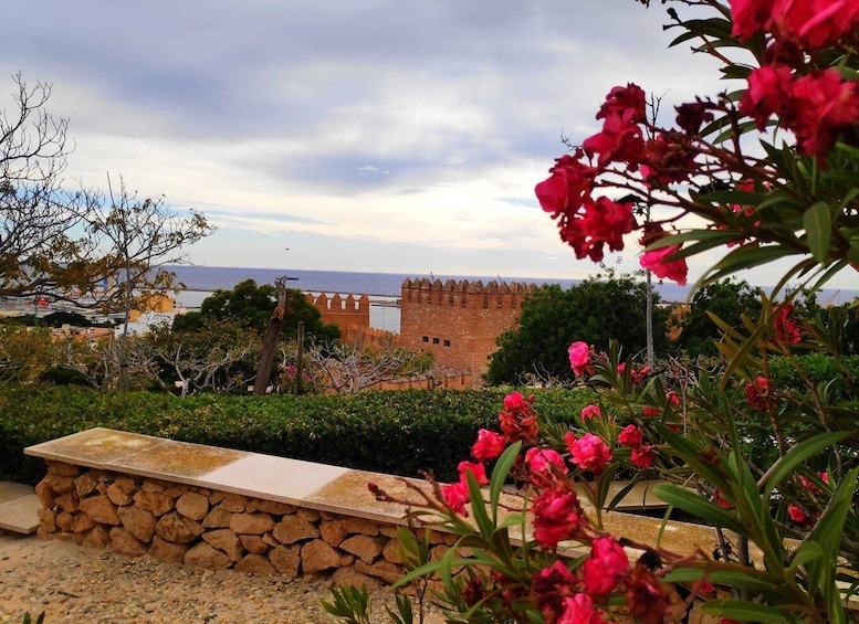 Picture 10 for Activity Almería: Small-Group Alcazaba Tour