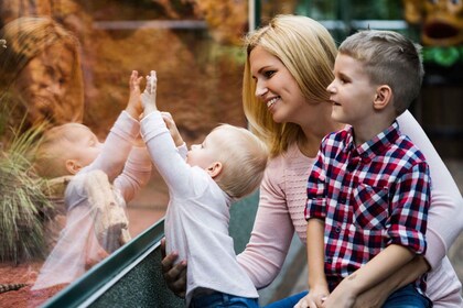 Wroclaw : zoo avec transport privé et billets