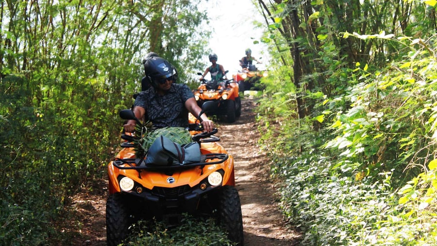 Bora Bora: Island Tour and Mountains Getaway by Quad Bike