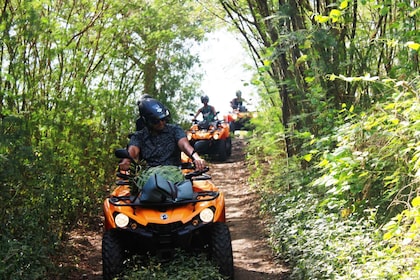 Bora Bora: tour por la isla y escapada a las montañas en quad