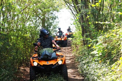 Bora Bora : Tour de l'île et escapade en montagne en quad