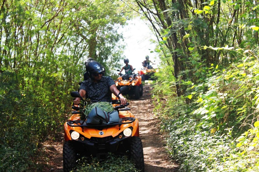 Bora Bora: Island Tour and Mountains Getaway by Quad Bike