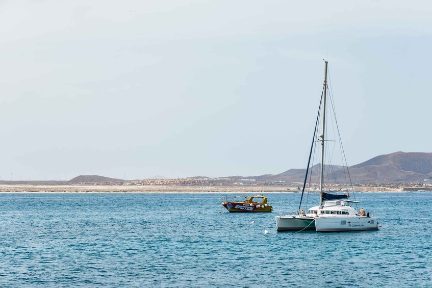 Picture 10 for Activity From Corralejo: Round-Trip Ferry Transfer to Lobos Island