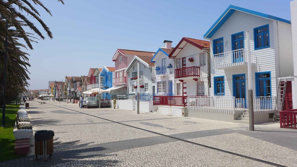 Picture 6 for Activity Aveiro: Half Day Tour with Boat Ride