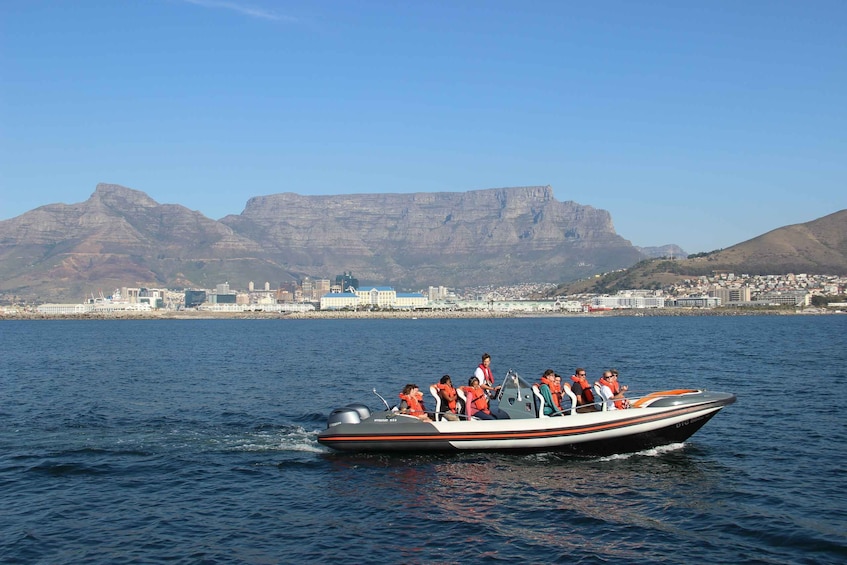 Picture 3 for Activity Cape Town: Marine Wildlife Cruise and City Tour