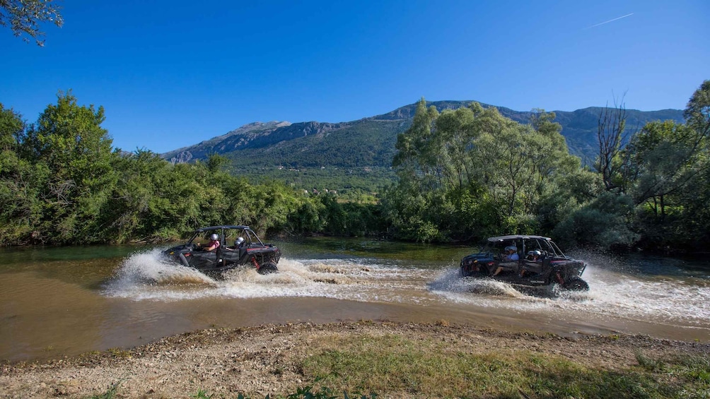 Picture 2 for Activity Dubrovnik: Kojan Koral Buggy Safari Tour