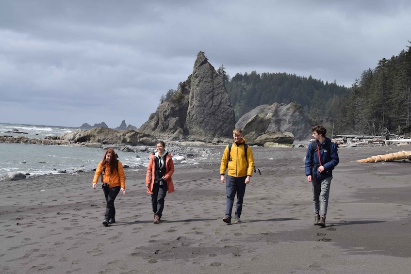 Picture 4 for Activity Olympic National Park: Hoh Rain Forest and Rialto Beach Tour