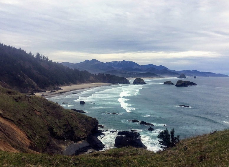 Picture 11 for Activity From Portland: Oregon Coast Day Trip Cannon Beach Area