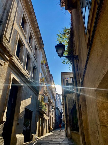 Picture 11 for Activity Santiago de Compostela: Cathedral, Museum, and Old Town Tour