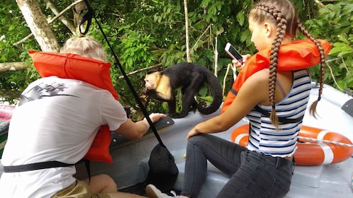 Ciudad de Panamá: tour en barco por la isla de los monos