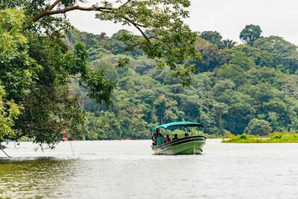 Panama City : Monkey Island Boat Tour