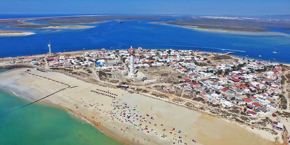 Picture 5 for Activity Olhão: 3-Hour Ria Formosa Boat Tour