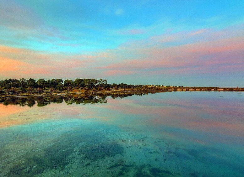 Picture 2 for Activity Olhão: 3-Hour Ria Formosa Boat Tour