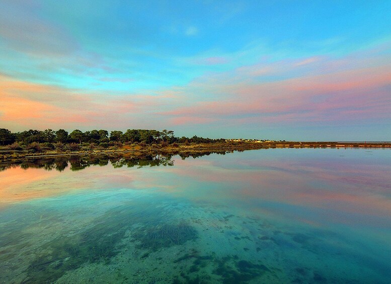 Picture 2 for Activity Olhão: 3-Hour Ria Formosa Boat Tour