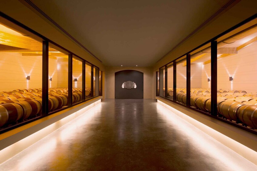 Picture 3 for Activity Languedoc: Tour and Tasting at Domaine de Baronarques