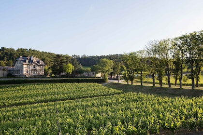 Languedoc: Besichtigung und Verkostung auf der Domaine de Baronarques