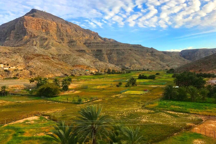 Picture 3 for Activity From Khasab: Half-Day Mountain Safari to Jabel Harim