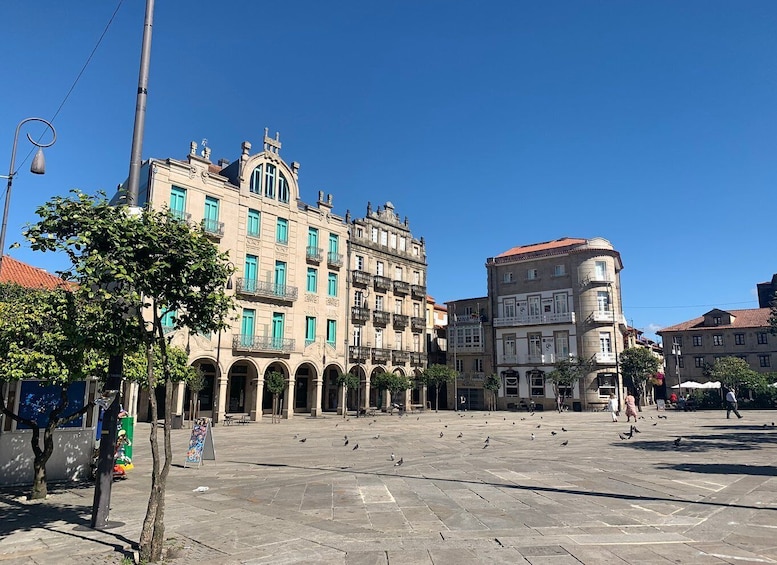 Picture 3 for Activity Pontevedra: Private Guided Walking Tour