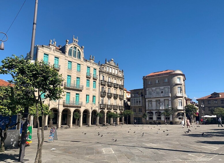 Picture 3 for Activity Pontevedra: Private Guided Walking Tour