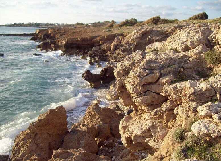 Picture 3 for Activity Sea Star Blue Lagoon Round Trip Cruise from Paphos