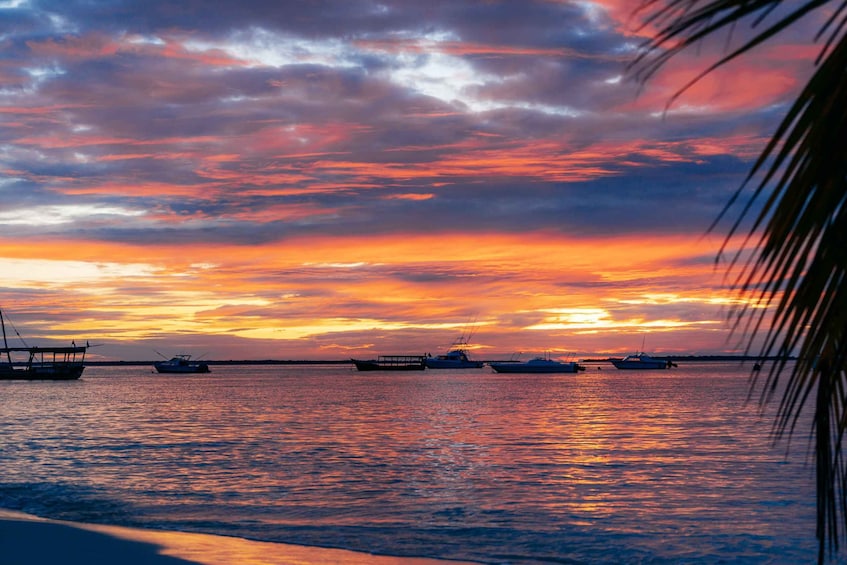 Picture 5 for Activity Zanzibar City: Sunset Sailing Tour with Snacks and Drinks