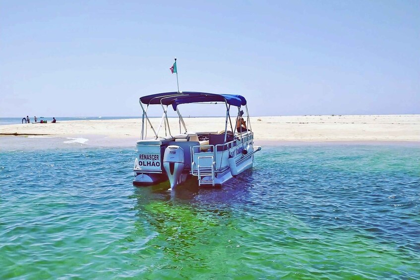 Picture 5 for Activity Ria Formosa: Sightseeing boat Tour from Olhão