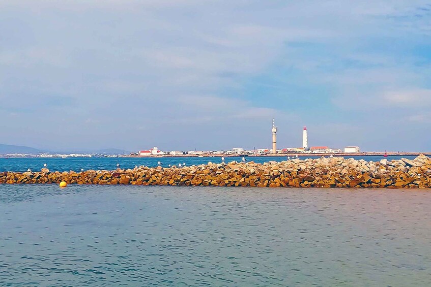 Picture 3 for Activity Ria Formosa: Sightseeing boat Tour from Olhão