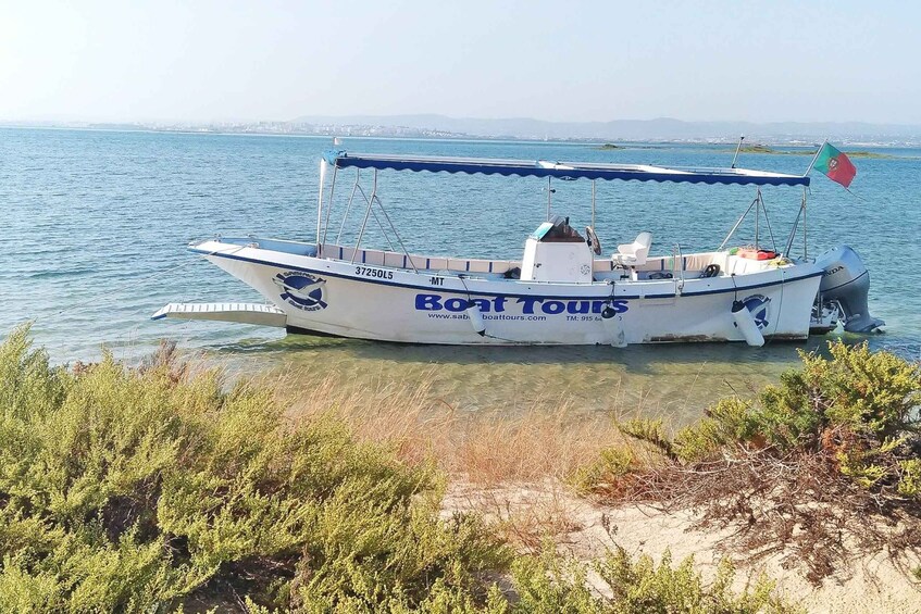 Picture 6 for Activity Ria Formosa: Sightseeing boat Tour from Olhão