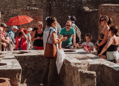 Pompéi : Petit groupe excursion de Pompéi et Herculanum