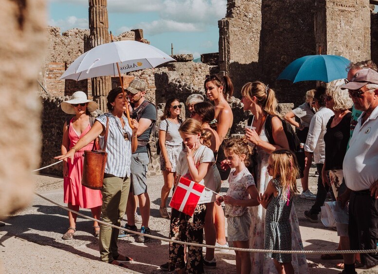 Picture 1 for Activity Pompeii: Small-Group Tour of Pompeii and Herculaneum