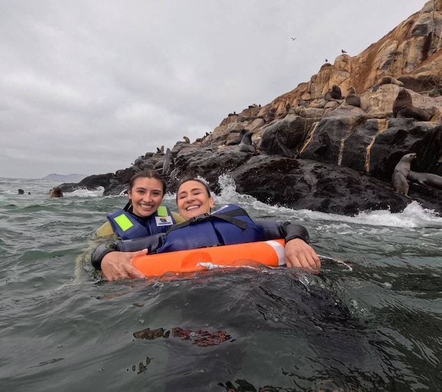 Picture 15 for Activity Palomino Island (Lima): Sea lions swim +4 islands yacht tour