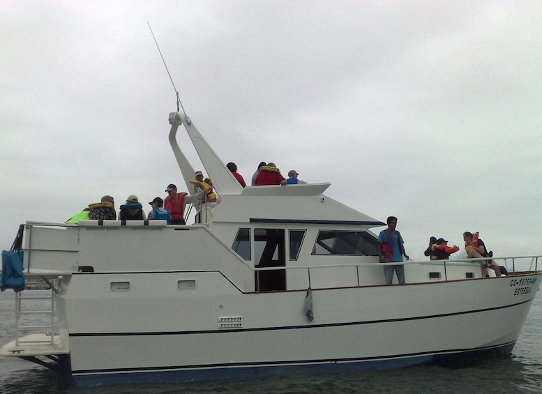 Picture 9 for Activity Palomino Islands: Swim with Sea Lions in the Pacific Ocean