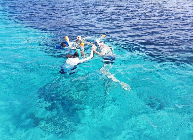 Picture 3 for Activity Olbia: Dolphin Watching & Snorkeling Boat Tour near Figarolo