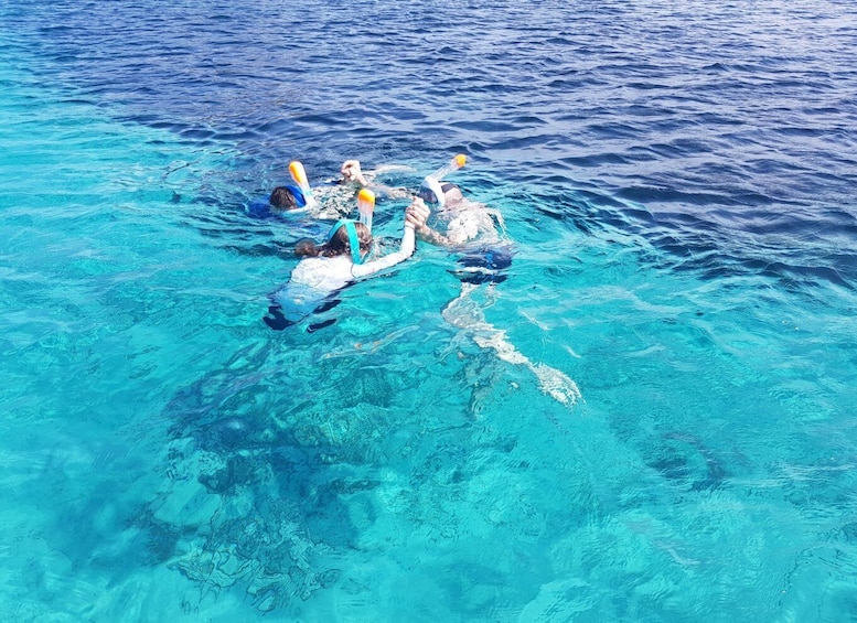 Picture 3 for Activity Olbia: Dolphin Watching & Snorkeling Boat Tour near Figarolo