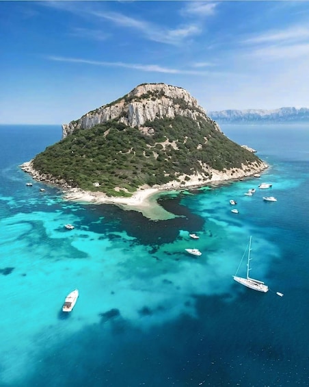 Picture 7 for Activity Olbia: Dolphin Watching & Snorkeling Boat Tour near Figarolo