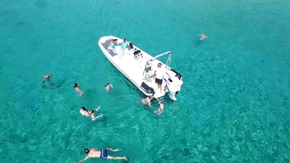 Picture 1 for Activity Olbia: Dolphin Watching & Snorkeling Boat Tour near Figarolo