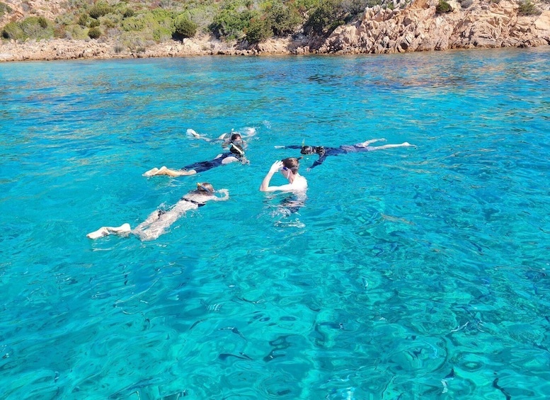 Picture 18 for Activity Olbia: Dolphin Watching & Snorkeling Boat Tour near Figarolo