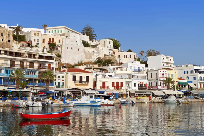 Picture 10 for Activity Naxos Island: Full–Day Historical Bus Tour