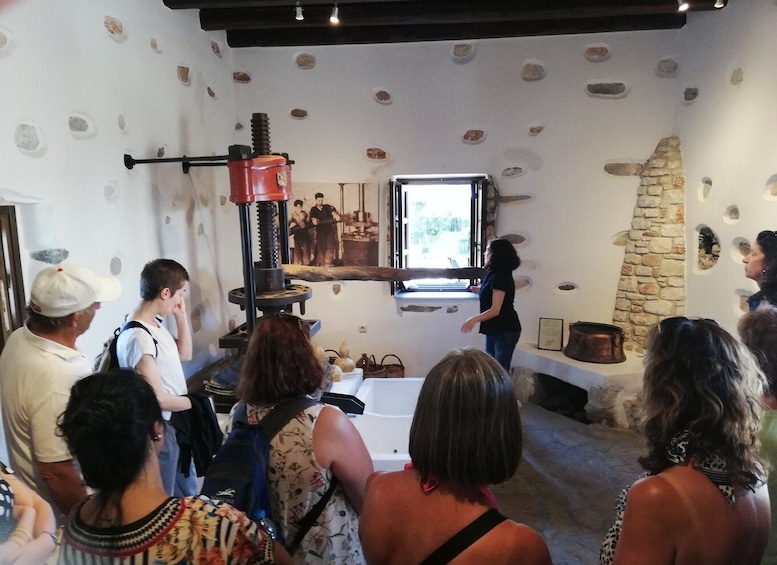 Picture 7 for Activity Naxos Island: Full–Day Historical Bus Tour