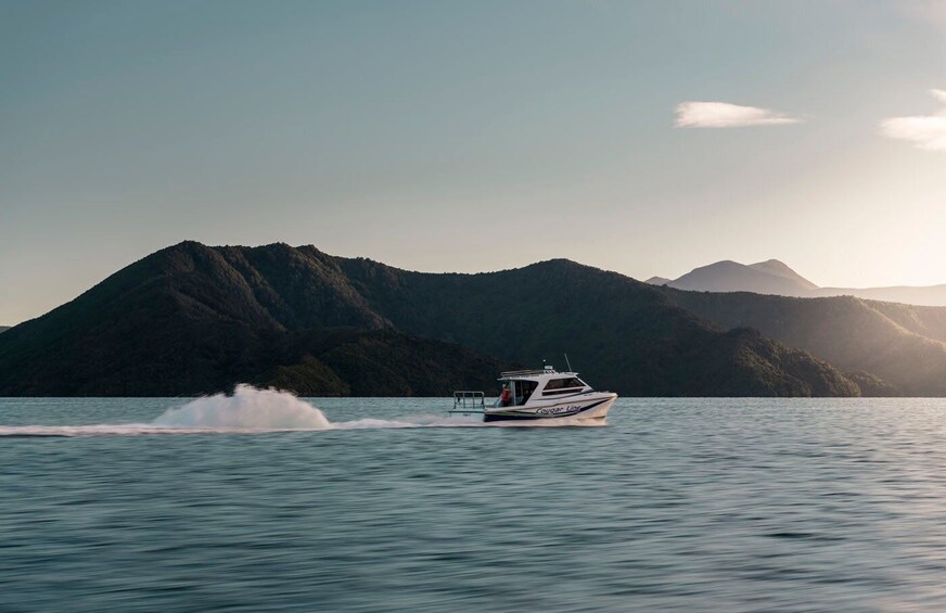 Picture 1 for Activity Queen Charlotte Sound: Scenic Cruise & Lunch