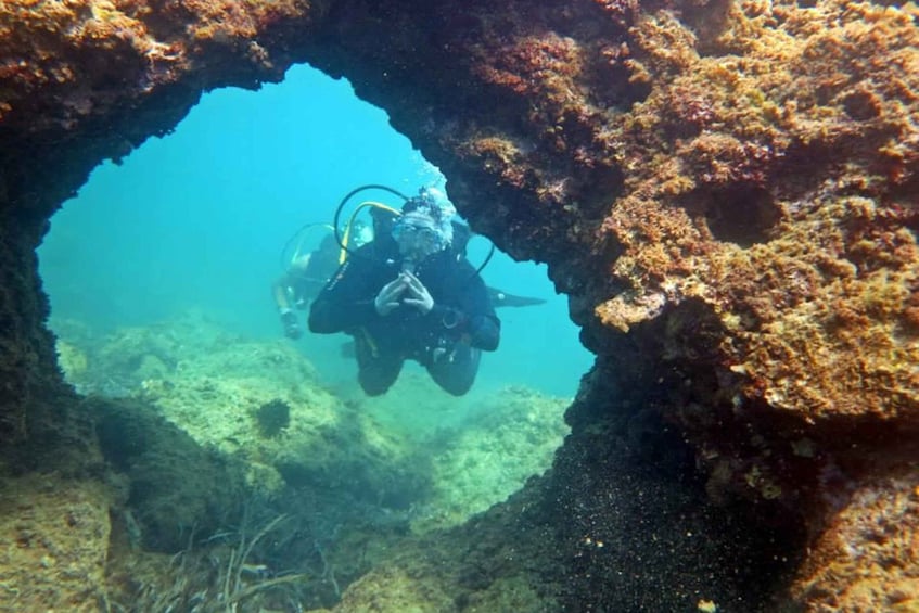 Picture 2 for Activity Las Canteras Scuba Diving